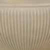 Sunnydaze Decor Sunnydaze Indoor/Outdoor Patio, Garden, Or Porch Weather-Resistant Double-Walled Elizabeth Ribbed Urn Flower Pot Planter - 15" 1 Sunnydaze Decor Sunnydaze Indoor/Outdoor Patio, Garden, Or Porch Weather-Resistant Double-Walled Elizabeth Ribbed Urn Flower Pot Planter - 15" -Sunnydaze Decor GUEST 0727b633 03bd 43b5 af45 23fa22cfd1b0