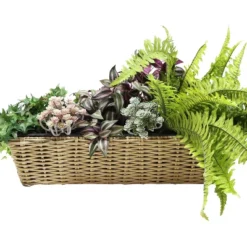 Sunnydaze Decor Sunnydaze Hanging Rectangle Polyrattan Rail Planter With Plastic Liner - 23.5" W X 7.5" D X 6.5" H 16 Sunnydaze Decor Sunnydaze Hanging Rectangle Polyrattan Rail Planter With Plastic Liner - 23.5" W X 7.5" D X 6.5" H -Sunnydaze Decor GUEST 1ad88708 b0ad 451a aa5e a9fe287e962b