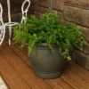 Sunnydaze Decor Sunnydaze Studio Outdoor/Indoor UV- And Frost-Resistant Ceramic Flower Pot Planter With Drainage Holes -Sunnydaze Decor GUEST 1c9bb940 07fc 4cae 851c 84c210ccd38e
