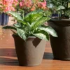 Sunnydaze Decor Sunnydaze Indoor/Outdoor Patio, Garden, Or Porch Weather-Resistant Double-Walled Anjelica Flower Pot Planter - 16" - Rust Finish -Sunnydaze Decor GUEST 1ce34bae f806 402d 8b55 d67c1637add7