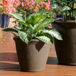 Sunnydaze Decor Sunnydaze Indoor/Outdoor Patio, Garden, Or Porch Weather-Resistant Double-Walled Anjelica Flower Pot Planter - 16" - Rust Finish