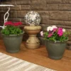 Sunnydaze Decor Sunnydaze Studio Outdoor/Indoor High-Fired Glazed UV- And Frost-Resistant Ceramic Planters With Drainage Holes -Sunnydaze Decor GUEST 2b03a2ae cc62 41f6 8a72 0350ea97c039