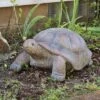 Sunnydaze Decor Sunnydaze Indoor/Outdoor Glass Fiber Reinforced Concrete Talia The Tortoise Patio Garden Yard Entryway Decorative Statue - 29" -Sunnydaze Decor GUEST 2fc57689 8680 4d8b a617 72021a9d882e