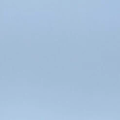 Sunnydaze Decor Sunnydaze Plastic All-Weather Commercial-Grade Elmott Indoor/Outdoor Patio Dining Chair -Sunnydaze Decor GUEST 3f5d9c9a eabd 4fcc 8c09 ec4ccc032a34