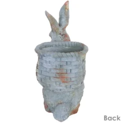 Sunnydaze Decor Sunnydaze 17" Roman The Carrot Collector Rabbit Indoor/Outdoor Statue Figurine - Patio, Lawn And Garden Decoration -Sunnydaze Decor GUEST 419314d9 1137 47b4 827d 9bba6aa68da0