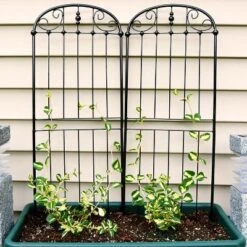 Sunnydaze Decor Sunnydaze Metal Wire Traditional Garden Trellis For Climbing Plants And Flowers - 32" H - Black - 2-Pack