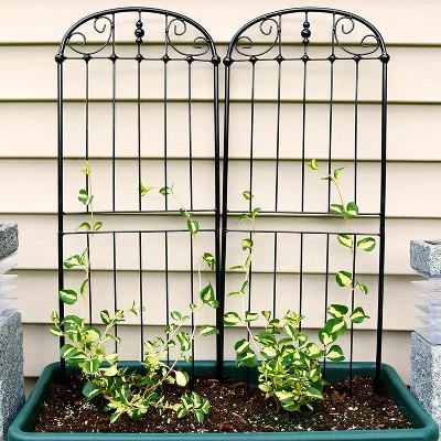 Sunnydaze Decor Sunnydaze Metal Wire Traditional Garden Trellis For Climbing Plants And Flowers - 32" H - Black - 2-Pack 3 Sunnydaze Decor Sunnydaze Metal Wire Traditional Garden Trellis For Climbing Plants And Flowers - 32" H - Black - 2-Pack