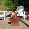 Sunnydaze Decor Sunnydaze Outdoor Camping Or Backyard Hexagon Rustic Affinity Fire Pit Bowl On Pedestal Stand - 23" - Oxidized Rust -Sunnydaze Decor GUEST 6469f989 e164 4ea4 9920 d42ba1ef2ce4