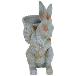 Sunnydaze Decor Sunnydaze 17" Roman The Carrot Collector Rabbit Indoor/Outdoor Statue Figurine - Patio, Lawn And Garden Decoration -Sunnydaze Decor GUEST 755befe8 123d 40f1 a49d 64c9d38dd05c