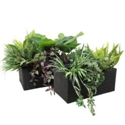 Sunnydaze Decor Sunnydaze 2-Section Rectangle Polyrattan Indoor Planters - 21.5" W X 11.5" D X 9.25" H - 2-Pack 18 Sunnydaze Decor Sunnydaze 2-Section Rectangle Polyrattan Indoor Planters - 21.5" W X 11.5" D X 9.25" H - 2-Pack -Sunnydaze Decor GUEST a2a12e3f ad7a 474f 9b28 5e3620d29827
