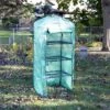 Sunnydaze Decor Sunnydaze Outdoor Portable Growing Rack 4-Tier Greenhouse With Roll-Up Door - 4 Shelves - Green -Sunnydaze Decor GUEST ab3b9276 bf70 46ef b183 989394c84fb2