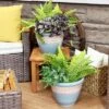 Sunnydaze Decor Sunnydaze Indoor/Outdoor Purlieu Decorative Glazed Ceramic Planters For Greenery Or Flowers - 12"