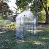 Sunnydaze Decor Sunnydaze Outdoor Portable Tiered Growing Rack Deluxe Walk-In Greenhouse With Roll-Up Door - 4 Shelves - Clear - 54" X 28" X 77" 1 Sunnydaze Decor Sunnydaze Outdoor Portable Tiered Growing Rack Deluxe Walk-In Greenhouse With Roll-Up Door - 4 Shelves - Clear - 54" X 28" X 77" -Sunnydaze Decor GUEST b1dfd91d 902e 405b a272 5a48bc01b2c6