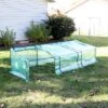 Sunnydaze Decor Sunnydaze Outdoor Portable Slanted Top Plant Shelter Mini Cloche Greenhouse With Zipper Doors - Green -Sunnydaze Decor GUEST b9d06f80 f310 41e2 a377 9e5d11734311