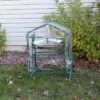 Sunnydaze Decor Sunnydaze Outdoor Portable Growing Rack 2-Tier Greenhouse With PVC Roll-Up Door - 2 Shelves - Clear -Sunnydaze Decor GUEST cdbea1af 3b55 4fd9 a039 155ed8449364