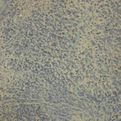 Sunnydaze Decor Sunnydaze 27"H Electric Polystone Seaside Outdoor Wall-Mount Water Fountain 14 Sunnydaze Decor Sunnydaze 27"H Electric Polystone Seaside Outdoor Wall-Mount Water Fountain -Sunnydaze Decor GUEST dc873c07 cf6d 4ccf 93b2 496e045be9ba