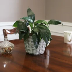 Sunnydaze Decor Sunnydaze Gray Willow Wicker Planter Baskets With Handles And Plastic Lining - Set Of 5 13 Sunnydaze Decor Sunnydaze Gray Willow Wicker Planter Baskets With Handles And Plastic Lining - Set Of 5 -Sunnydaze Decor GUEST de246691 46d9 4f42 8ca1 90c60a999c2b