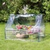 Sunnydaze Decor Sunnydaze Mini Greenhouse With 2 Zippered Side Doors - Clear -Sunnydaze Decor GUEST ea22b4dd 4fe7 4024 9003 93cceebce61a