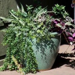 Sunnydaze Decor Sunnydaze Indoor/Outdoor Ocean Villa Decorative Glazed Ceramic Planter For Greenery Or Flowers - 15"