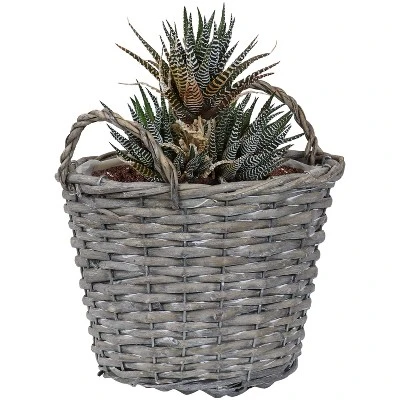Sunnydaze Decor Sunnydaze Gray Willow Wicker Planter Baskets With Handles And Plastic Lining - Set Of 5 6 Sunnydaze Decor Sunnydaze Gray Willow Wicker Planter Baskets With Handles And Plastic Lining - Set Of 5 - Image 4